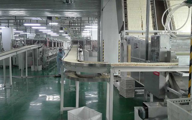 Noodle Conveyor line